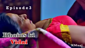 Bhains Ki Vidai Episode 3