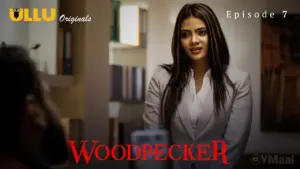 Woodpecker Episode 7